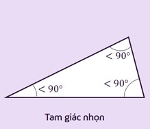 bất đẳng thức trong tam giác nhọn